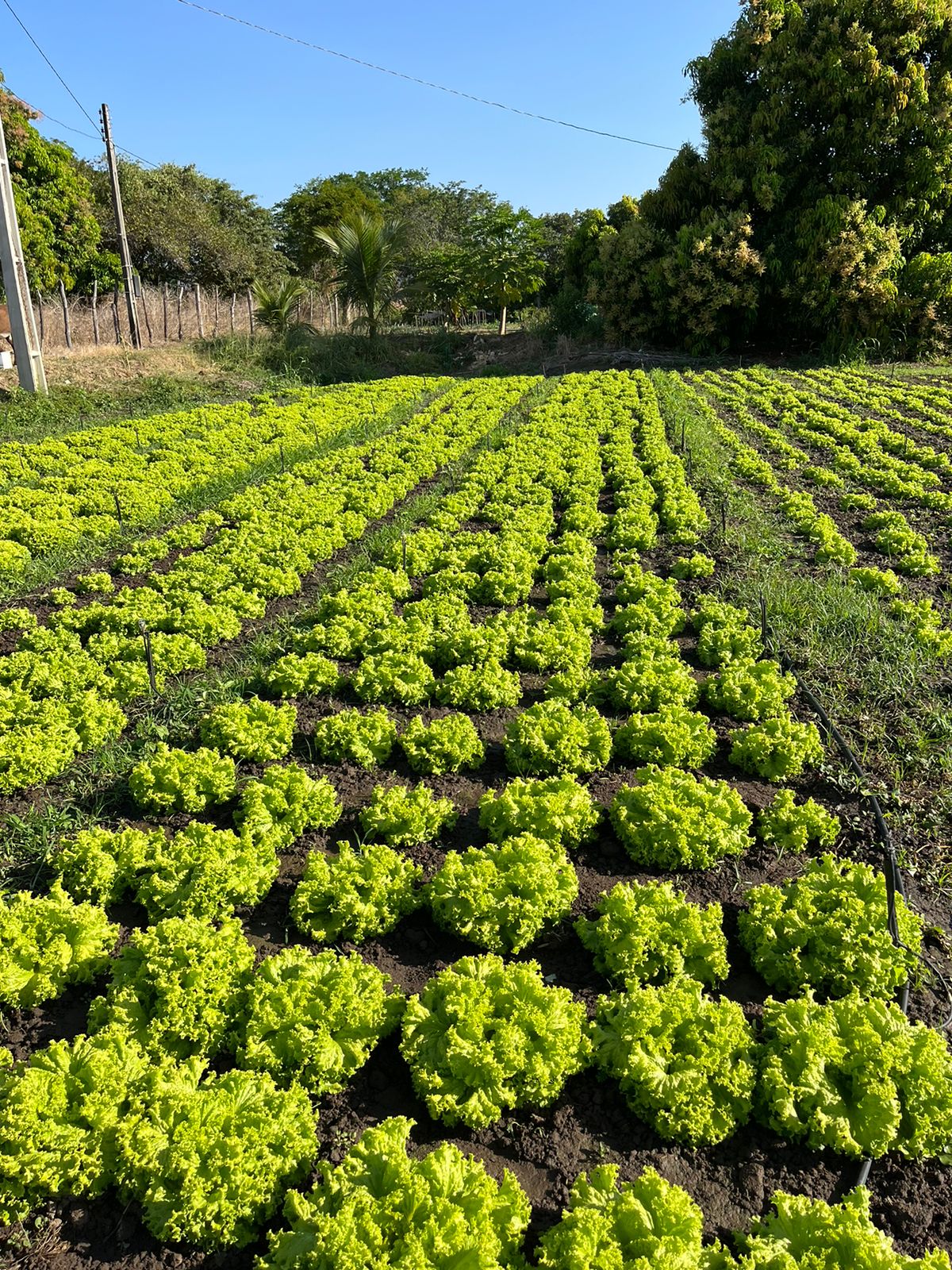 WhatsApp Image 2025-02-26 at 14.16.00 (1)